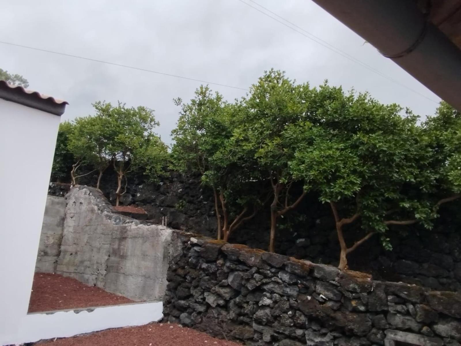 Aldeia Da Gingeira Vila São Mateus Exterior foto
